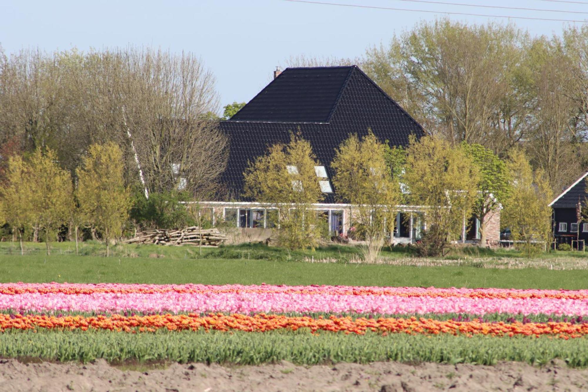 B&B Heeringhuusen Haringhuizen Dış mekan fotoğraf